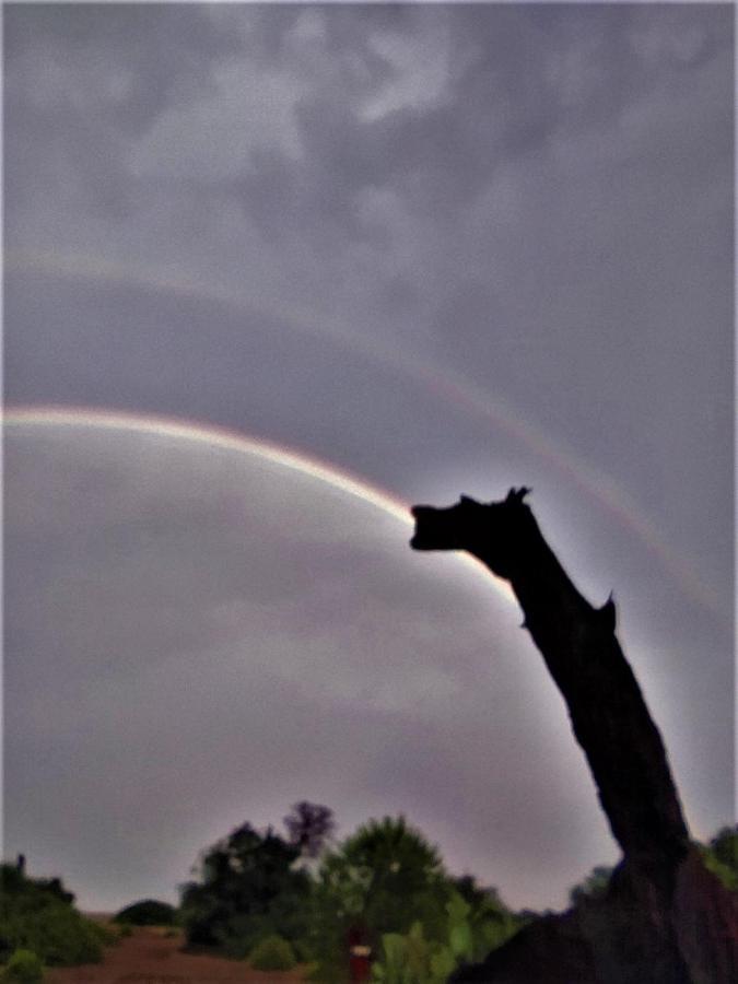 Chimera Pia Aparts Çıralı Esterno foto
