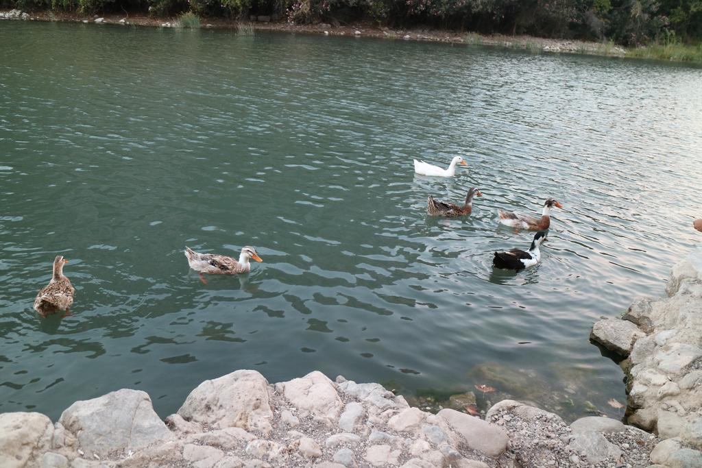 Chimera Pia Aparts Çıralı Esterno foto